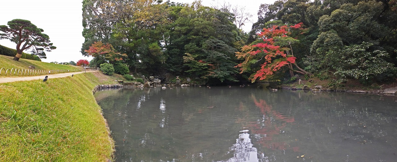 s-20151113 後楽園今日の園内花葉の池のワイド風景 (1)
