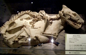 Hyaenodon horridus