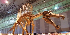 Spinosaurus_4