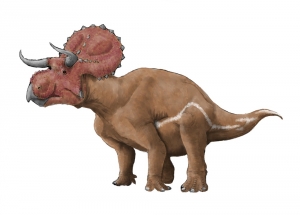 Nasutoceratops titusi