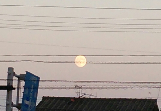 満月