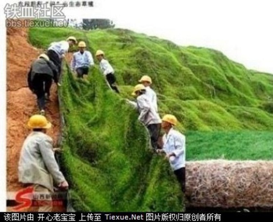中国の緑化、日本政府が１００億円拠出へ -