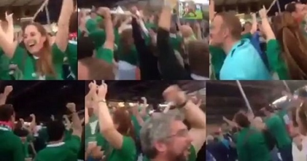 VIDEO: The Irish in the Cardiff fanzone go absolutely bonkers celebrating Japan's World Cup win
