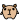kapibara icon