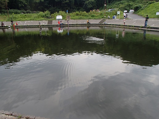 王禅寺の池