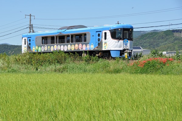 土佐くろしお鉄道 展望デッキ車両(青) 9640型