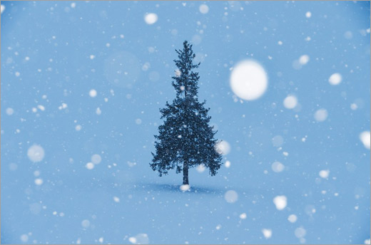 雪降るクリスマスツリー