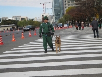 警察犬