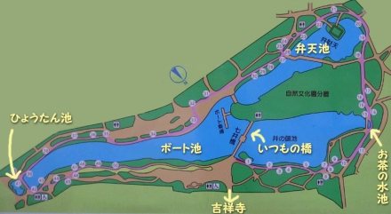 井の頭公園の地図