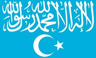 東トルキスタンイスラム運動の旗