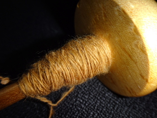 2013年に収穫した綿