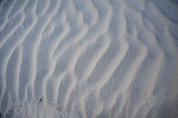 blog 395S-168E-190E Death Valley, Mesquite Flat Sand Dunes, CA_DSC0066-11.29.09.(4).jpg